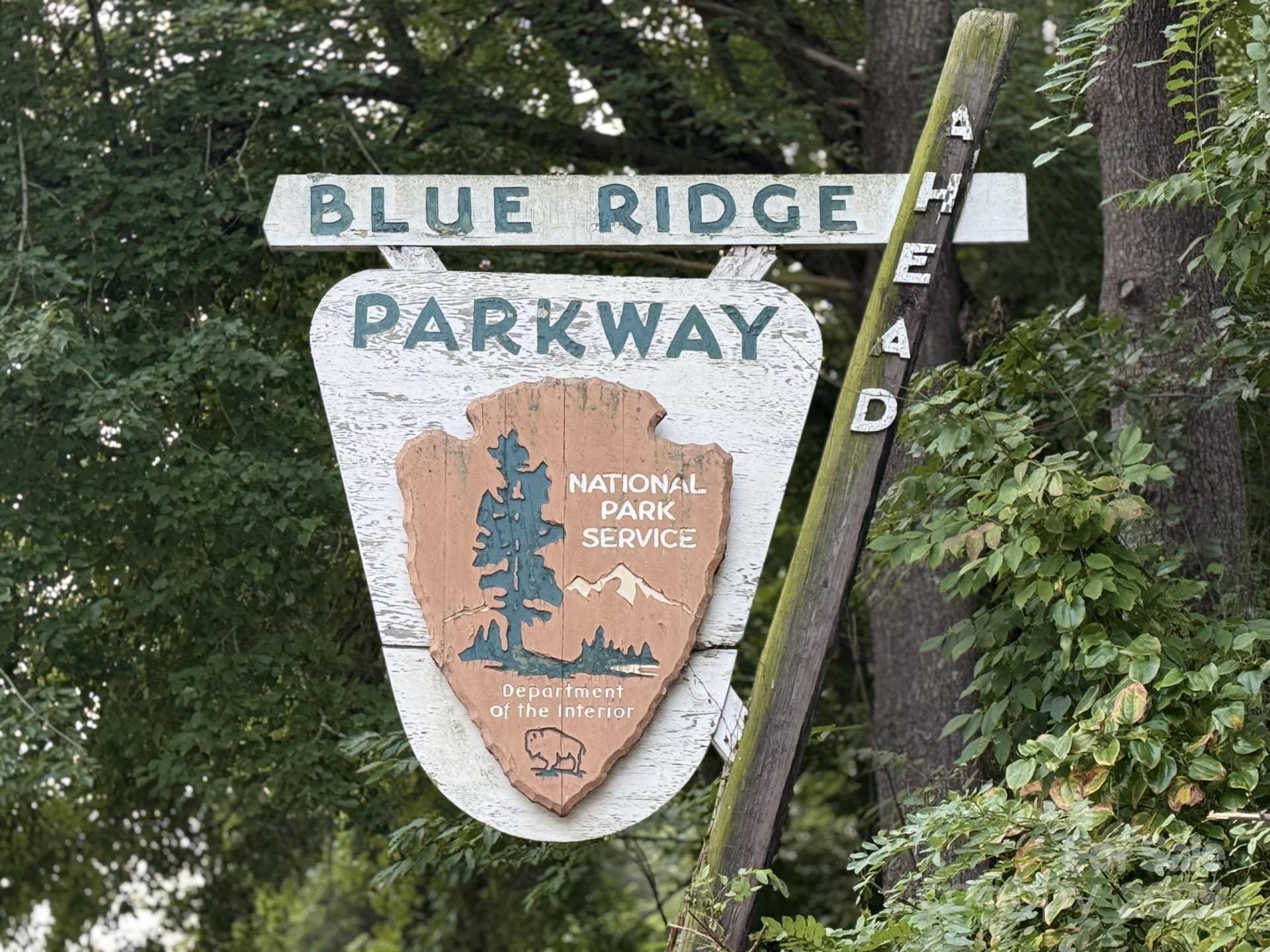 29 Oteen Park Place Asheville NC 28805