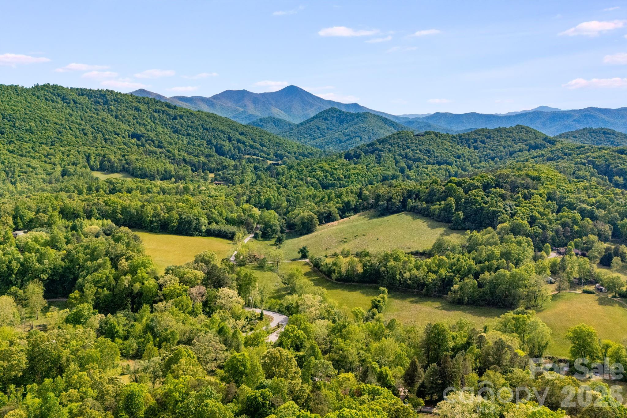 435 Upper Glady Fork Road Candler NC 28714
