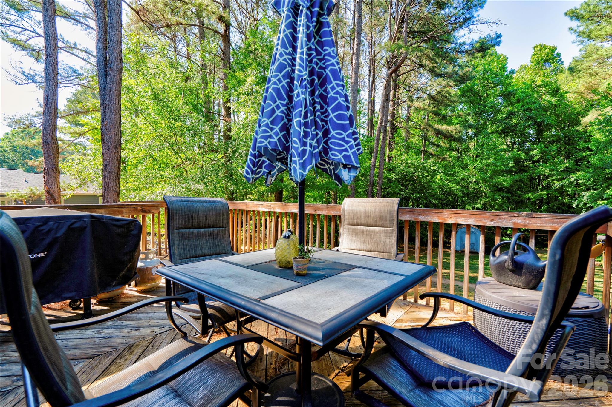 101 Doree Lane Crouse NC 28033