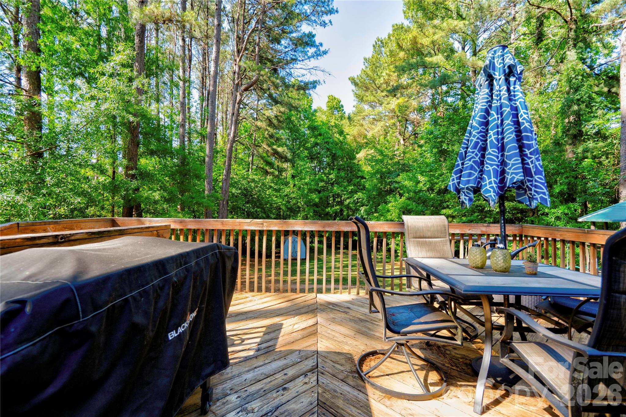 101 Doree Lane Crouse NC 28033