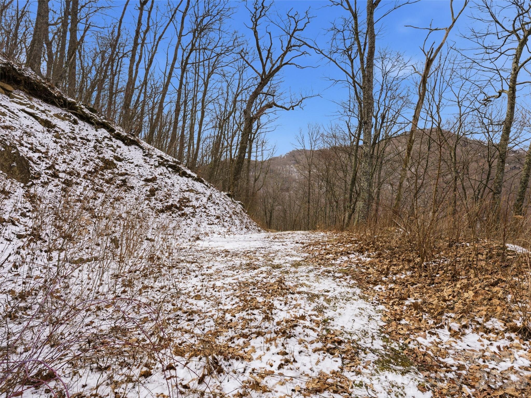 301 Awohali Trail Maggie Valley NC 28751