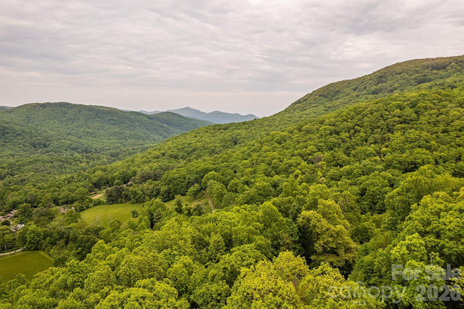 176 Mcguffey Ridge Road Gerton NC 28735