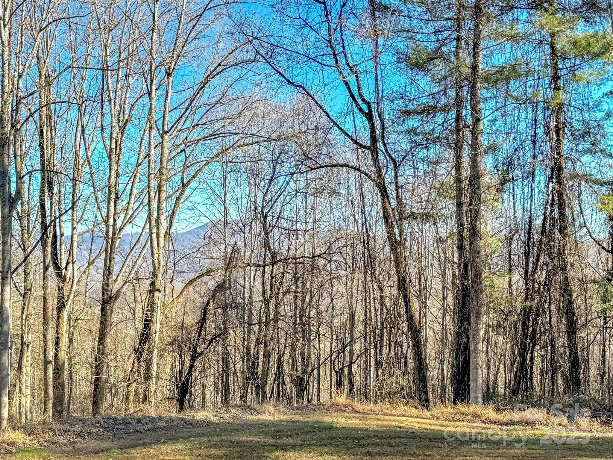 284 Cutting Edge Drive Sylva NC 28779