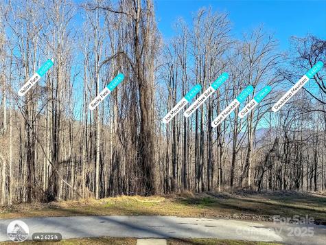 284 Cutting Edge Drive Sylva NC 28779
