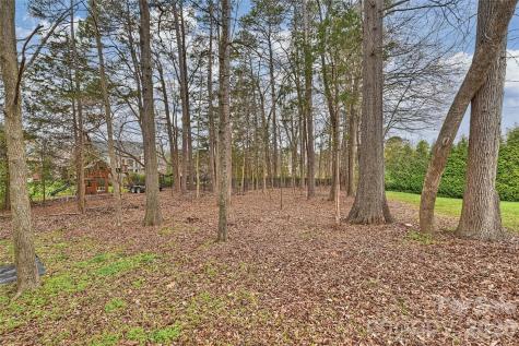 410 Deer Brush Lane Waxhaw NC 28173