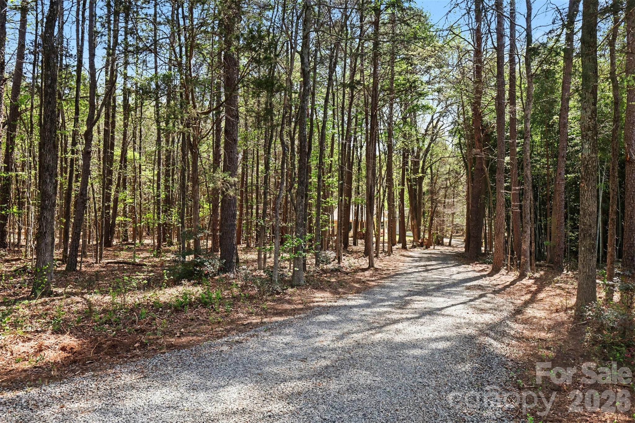10542 Blair Road Mint Hill NC 28227
