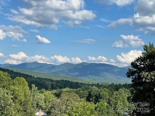 31 Mark Twain Road Asheville NC 28805