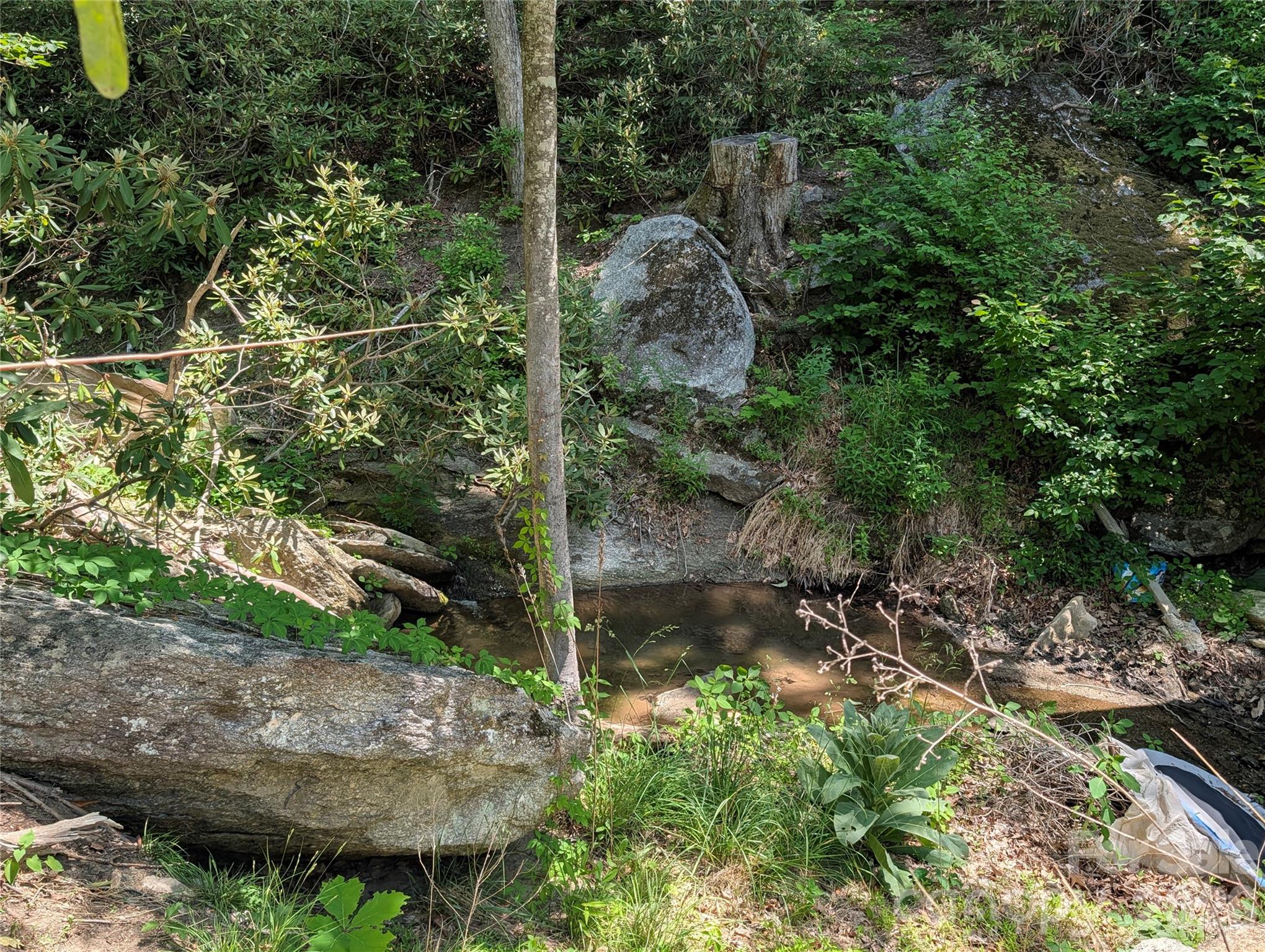 1034 Kyles Creek Road Hendersonville NC 28792