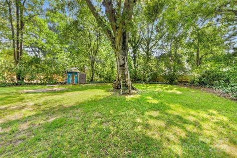 2034 Lanier Avenue Charlotte NC 28205