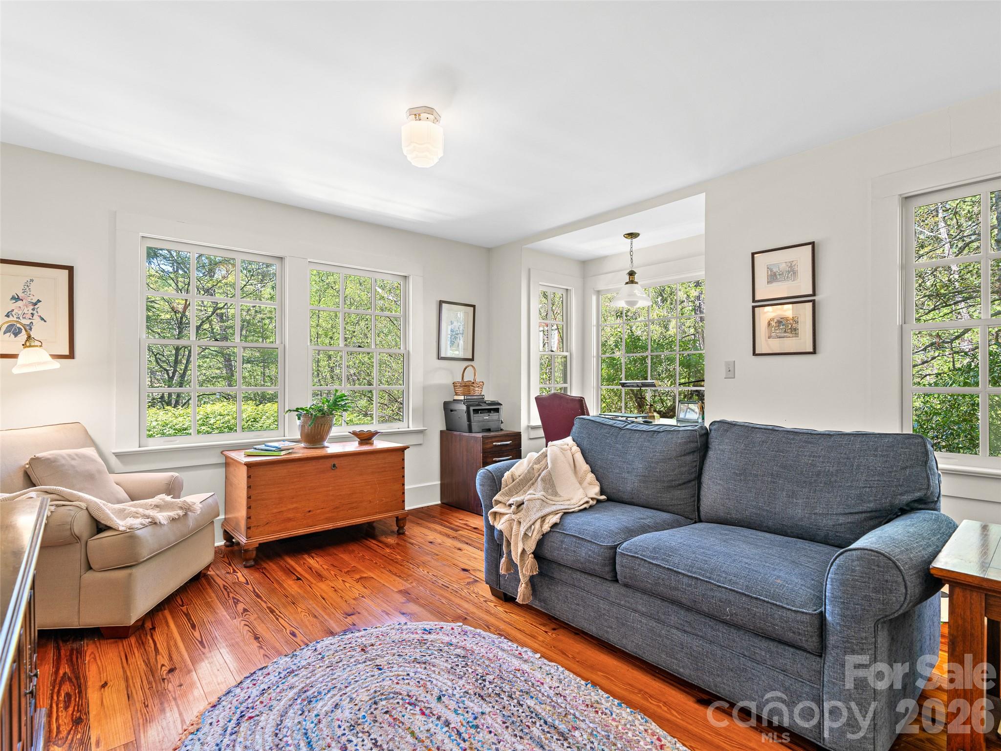 300 Ivy Terrace Drive Saluda NC 28773