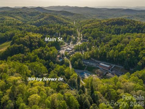 300 Ivy Terrace Drive Saluda NC 28773