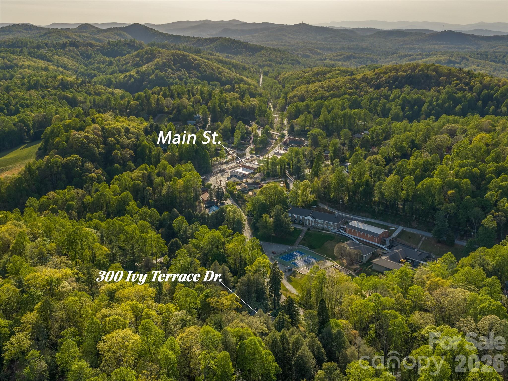 300 Ivy Terrace Drive Saluda NC 28773
