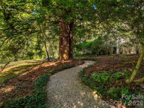 300 Ivy Terrace Drive Saluda NC 28773