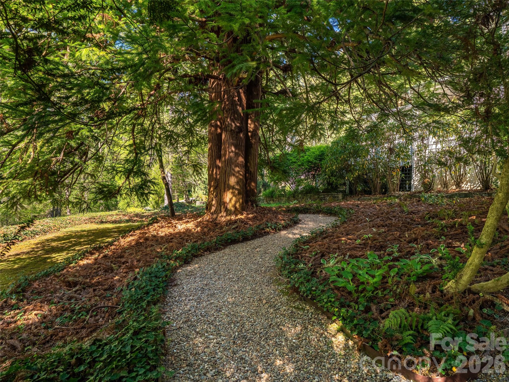 300 Ivy Terrace Drive Saluda NC 28773