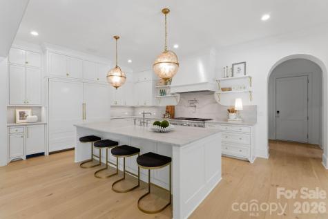 3035 Maple Way Drive Davidson NC 28036