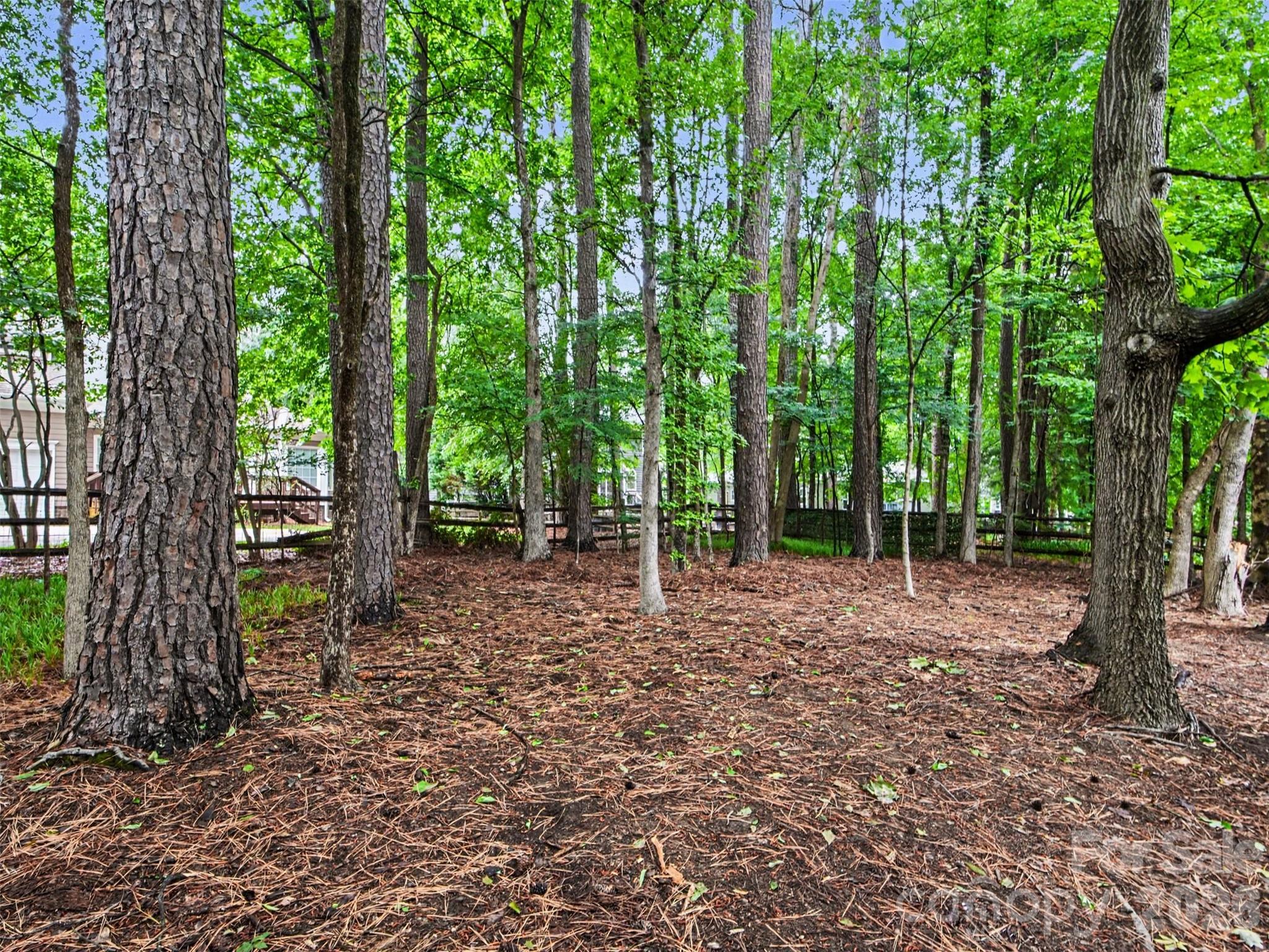 6401 Morningsong Lane Charlotte NC 28269
