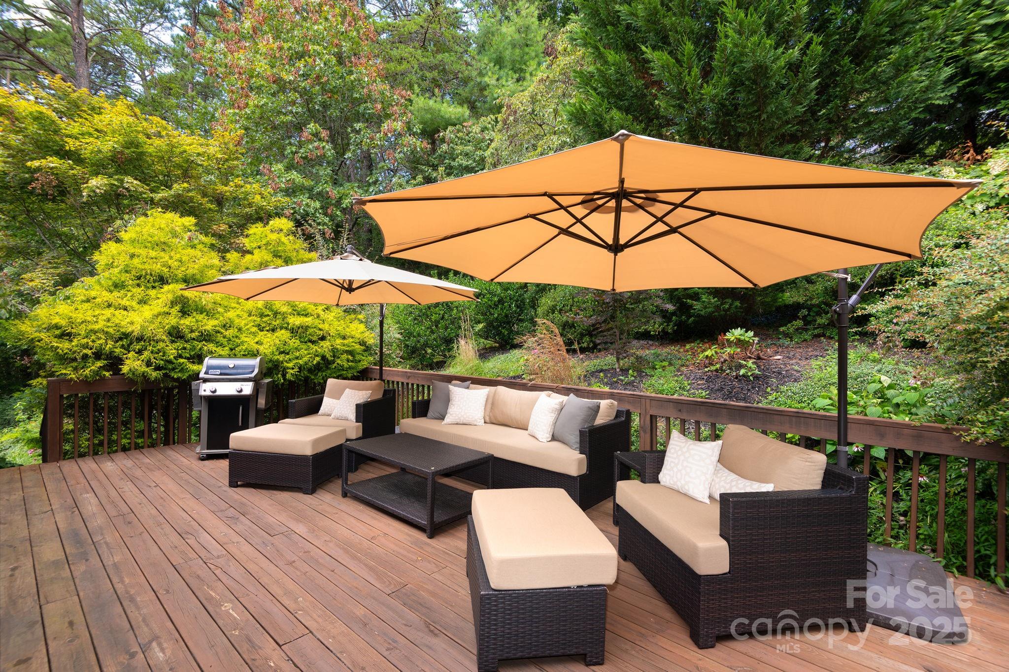 212 Blue Ridge Vista Asheville NC 28805