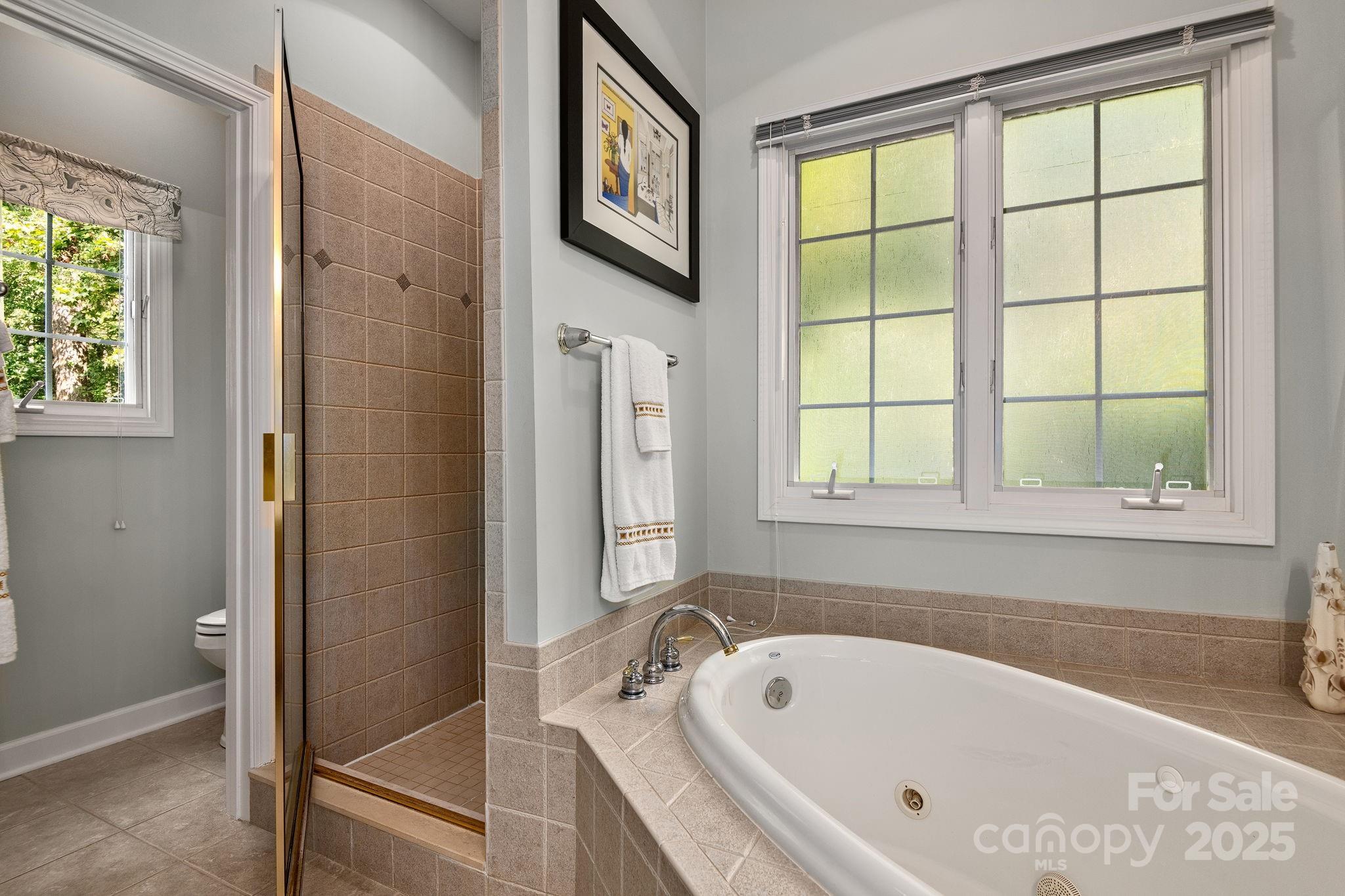 212 Blue Ridge Vista Asheville NC 28805