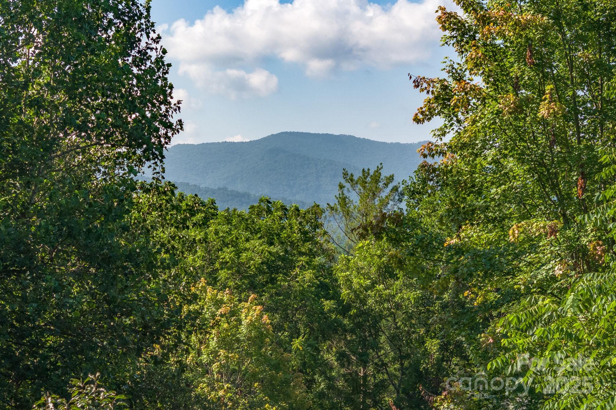 212 Blue Ridge Vista Asheville NC 28805