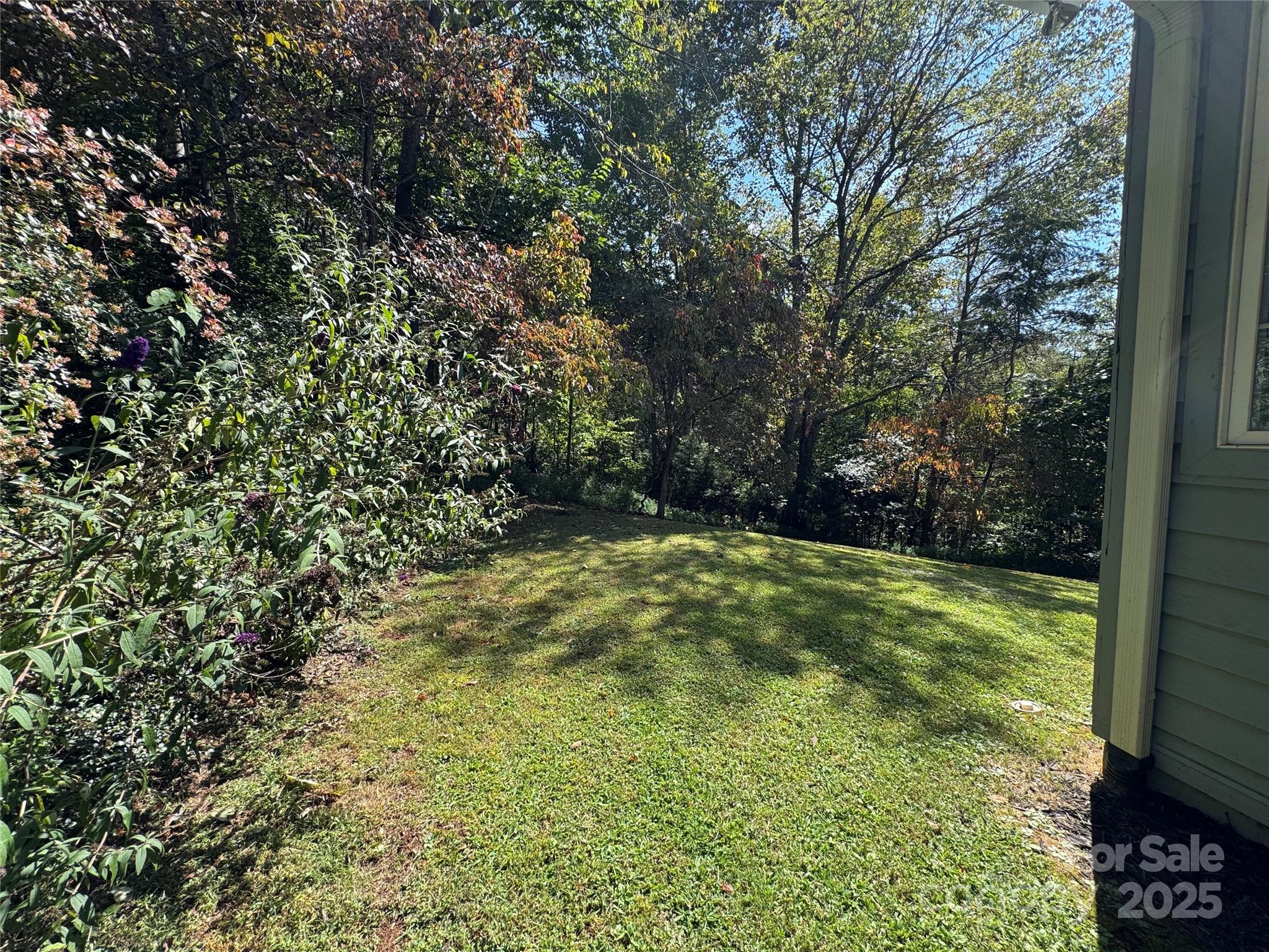 212 Blue Ridge Vista Asheville NC 28805