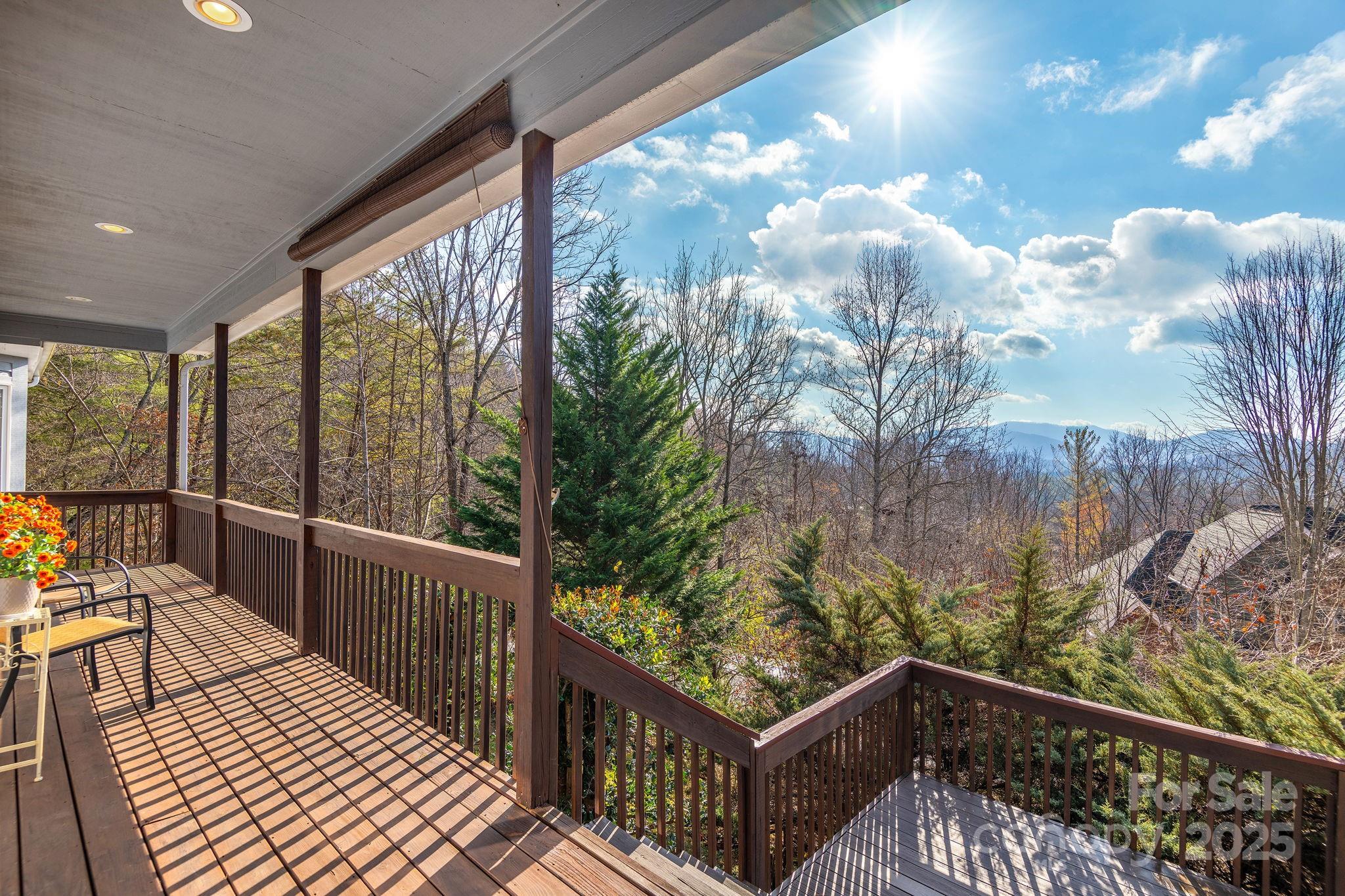 212 Blue Ridge Vista Asheville NC 28805