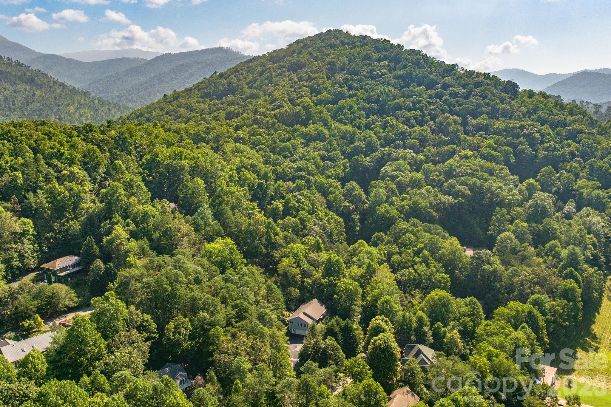 212 Blue Ridge Vista Asheville NC 28805