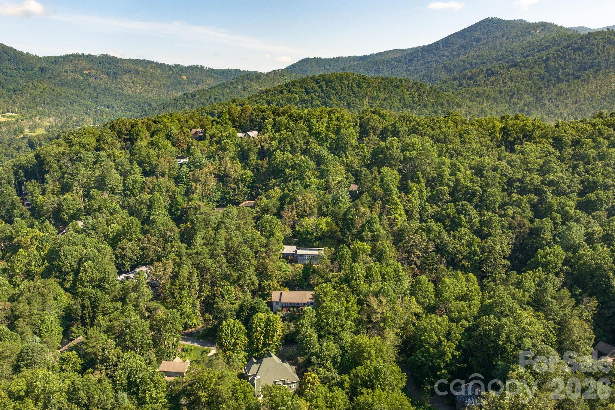 212 Blue Ridge Vista Asheville NC 28805