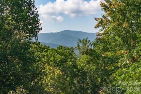 212 Blue Ridge Vista Asheville NC 28805