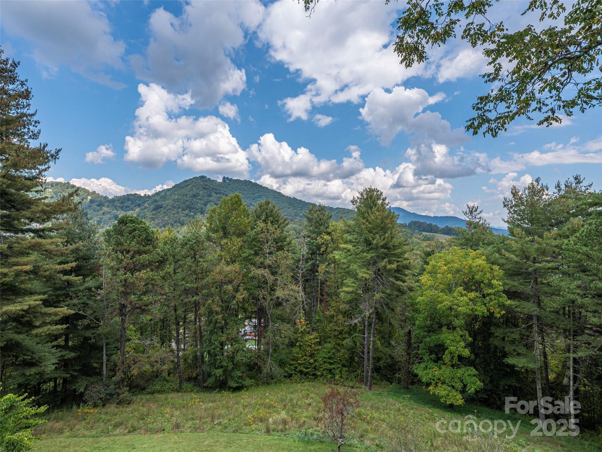 89 Patten Park Drive Waynesville NC 28785