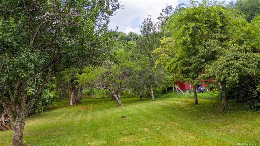 1005 Cattail Creek Road Burnsville NC 28714