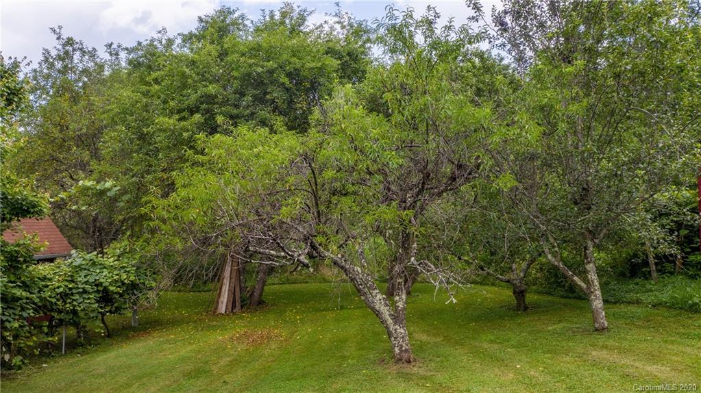 1005 Cattail Creek Road Burnsville NC 28714