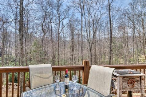 45 Baton Lane Asheville NC 28803