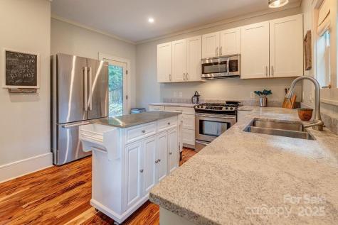 19 Northview Street Asheville NC 28801