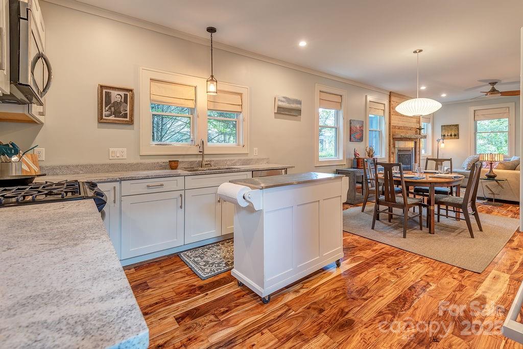 19 Northview Street Asheville NC 28801