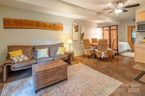 19 Northview Street Asheville NC 28801