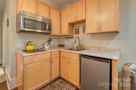 19 Northview Street Asheville NC 28801