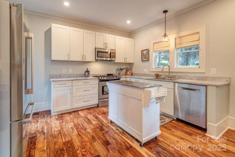 19 Northview Street Asheville NC 28801