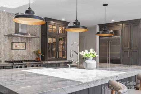 15 Busbee Road Biltmore Forest NC 28803