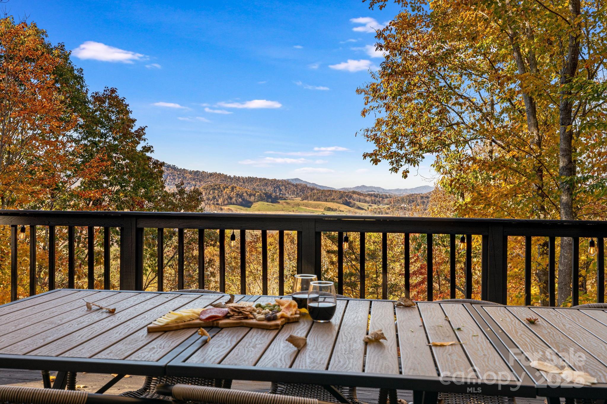 185 Blossom Ridge Leicester NC 28748