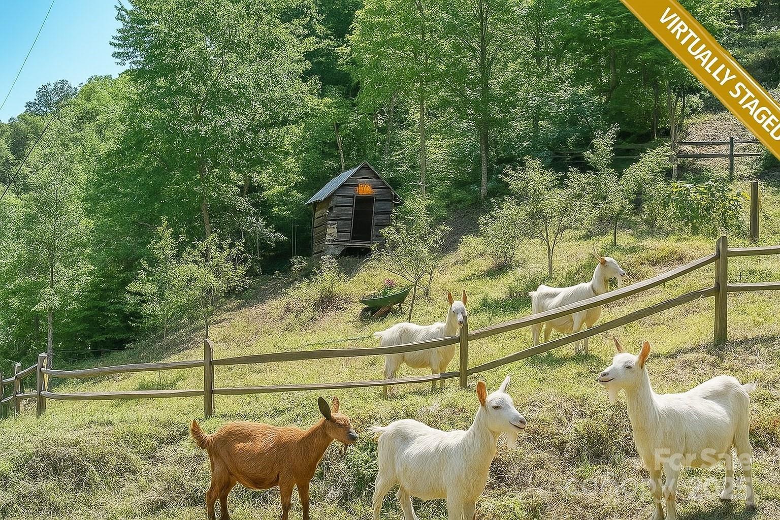 185 Blossom Ridge Leicester NC 28748