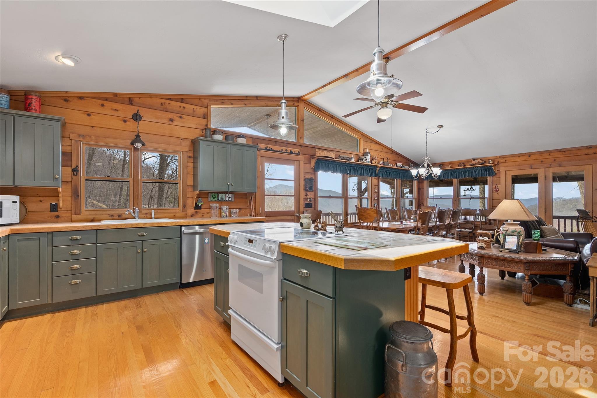 519 Promiseland Road Canton NC 28716