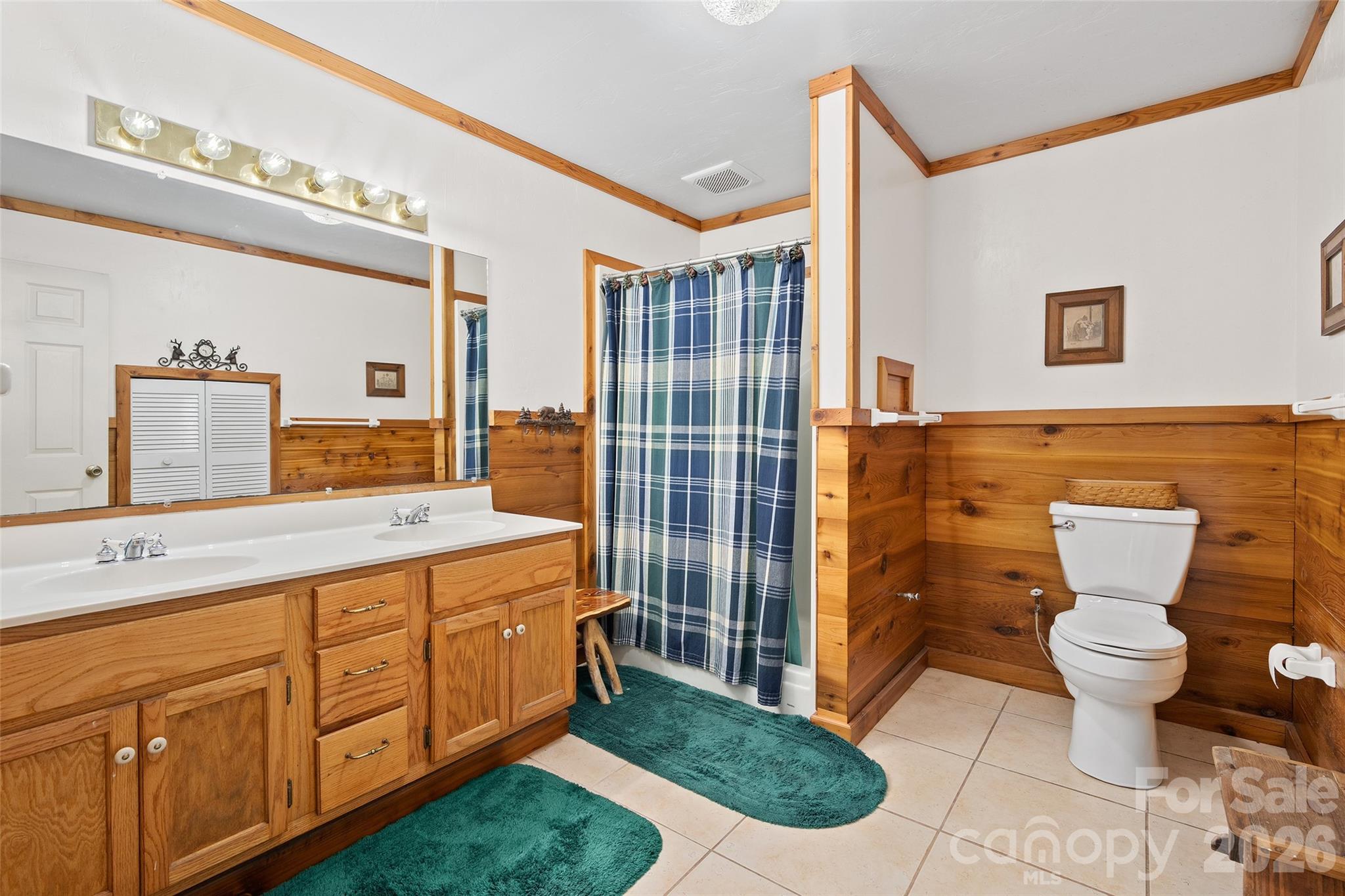 519 Promiseland Road Canton NC 28716
