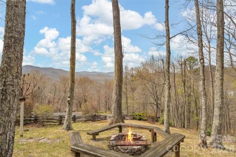 519 Promiseland Road Canton NC 28716