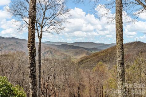 519 Promiseland Road Canton NC 28716