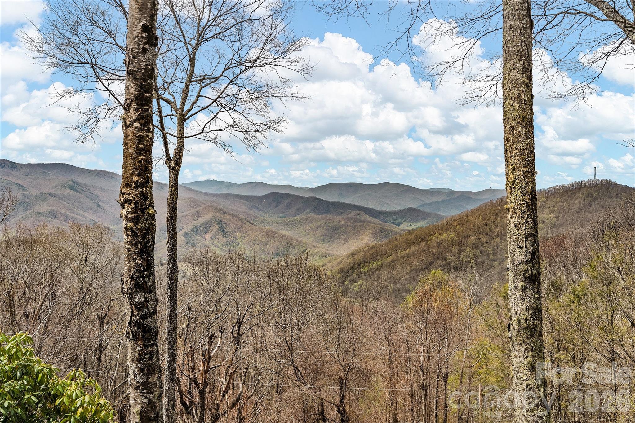519 Promiseland Road Canton NC 28716