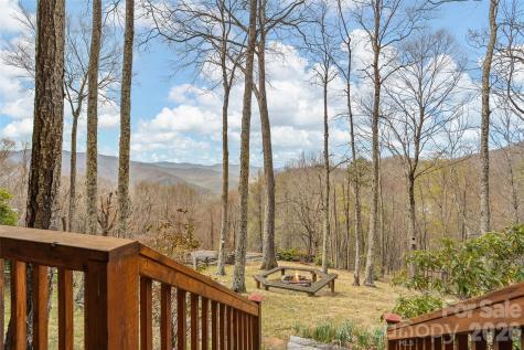 519 Promiseland Road Canton NC 28716