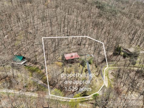 519 Promiseland Road Canton NC 28716