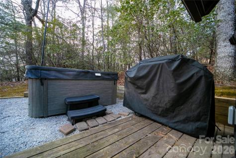 207 Unvquolad Court Brevard NC 28712