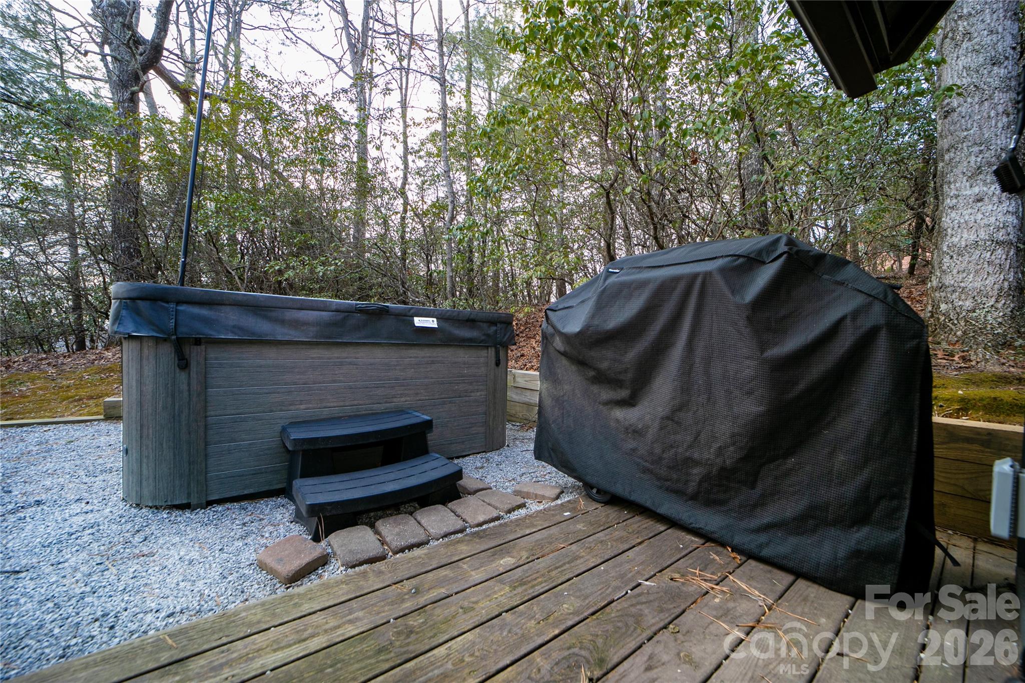 207 Unvquolad Court Brevard NC 28712