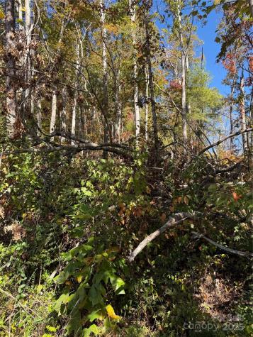 202 Lyndhurst Drive Hendersonville NC 28791